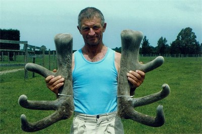 2011 10 kgs @ 8 years