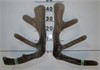 lot 3 8,3 kgs 12 dec 20