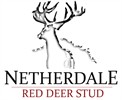 Netherdale Red Deer